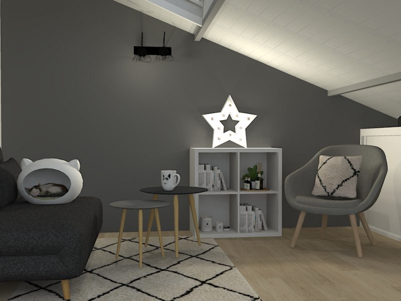 3D : vue bibliothèque